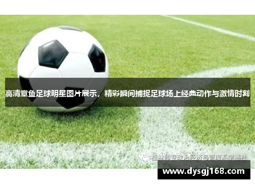 高清章鱼足球明星图片展示，精彩瞬间捕捉足球场上经典动作与激情时刻